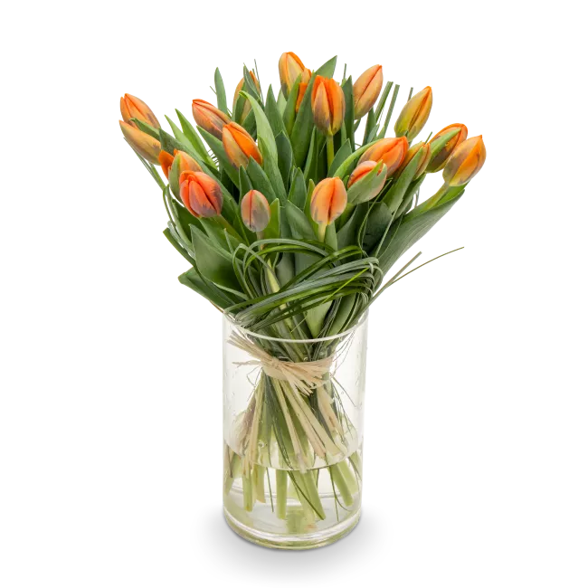 Kytice tulipánů